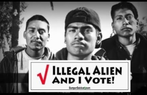 Are Immigrants Voting?